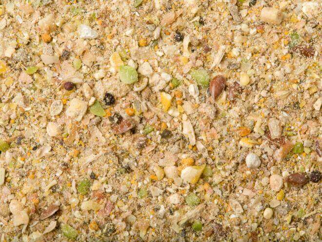 Mash Chicken Feeds
