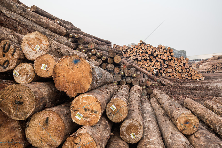 Sourcing Affordable Raw Materials​
