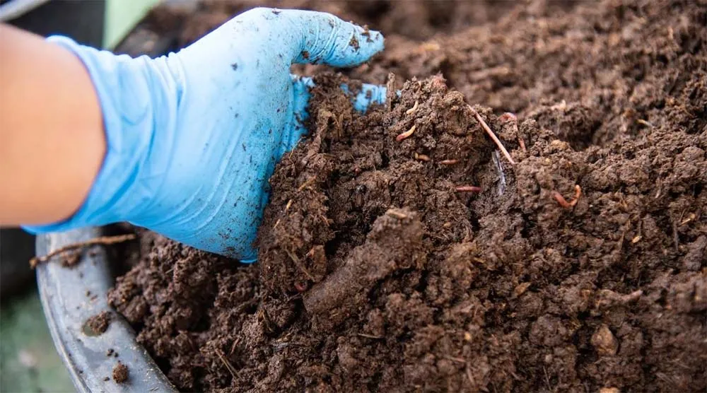 Organic Fertilizer Quality Control