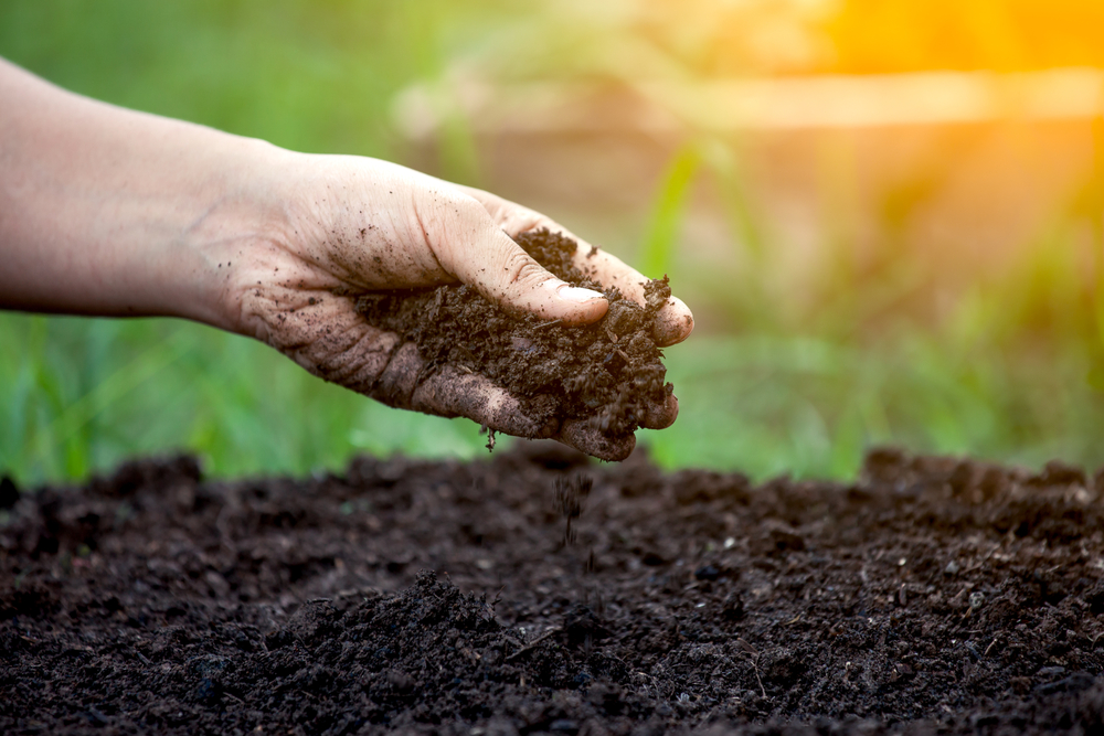 What are the different types of compost
