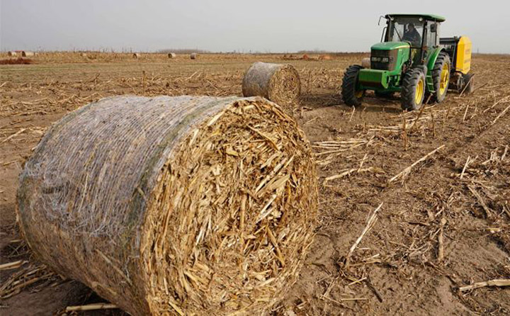 Eco-Friendly & Policy-Supported