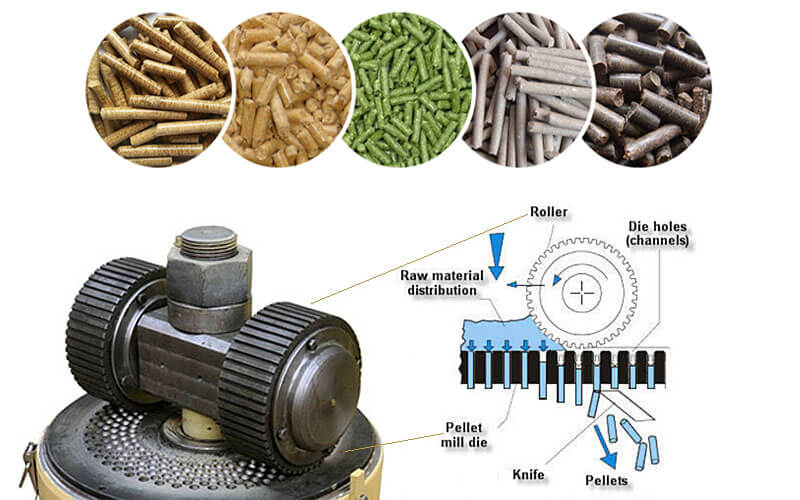 How to Choose a Biomass Pellet Machine
