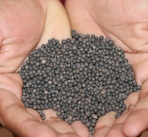 Organic Fertilizer Market Analysis 2026