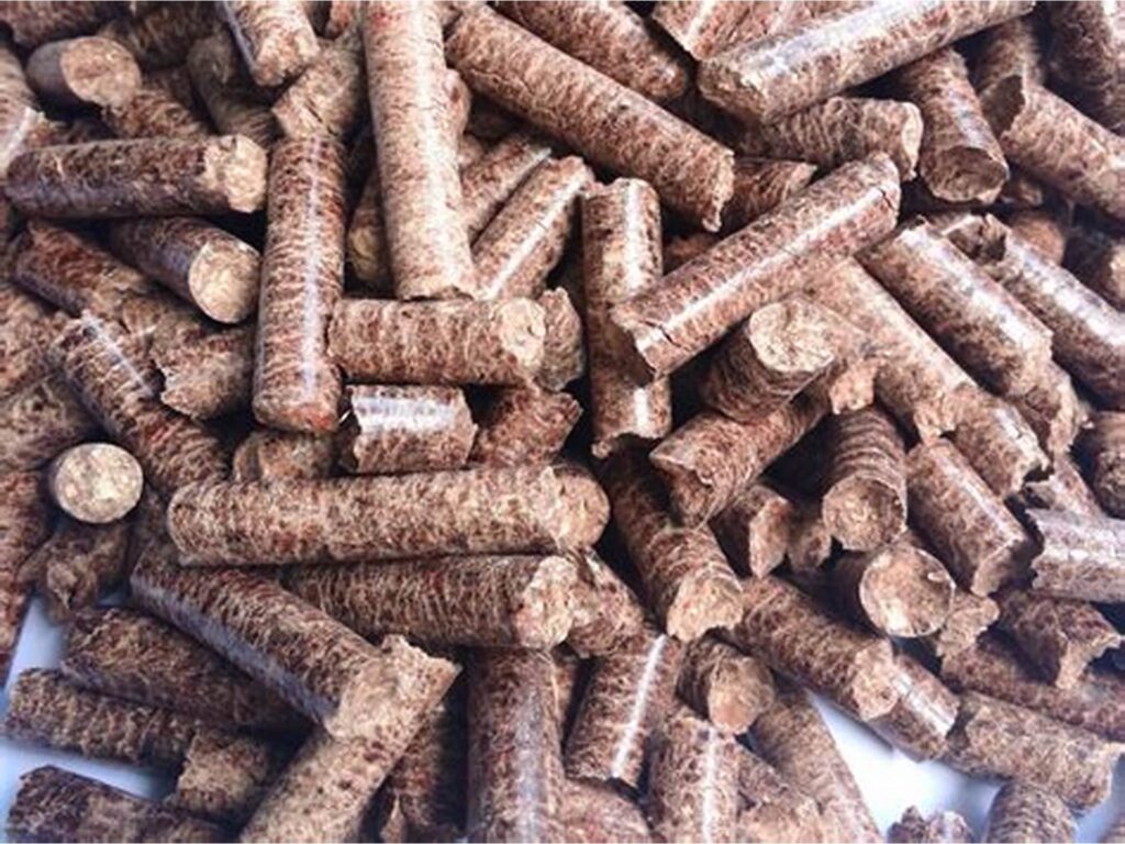 ROI for Biomass Pellet Business