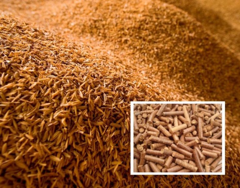 Rice Husk Biomass Pellet Machine