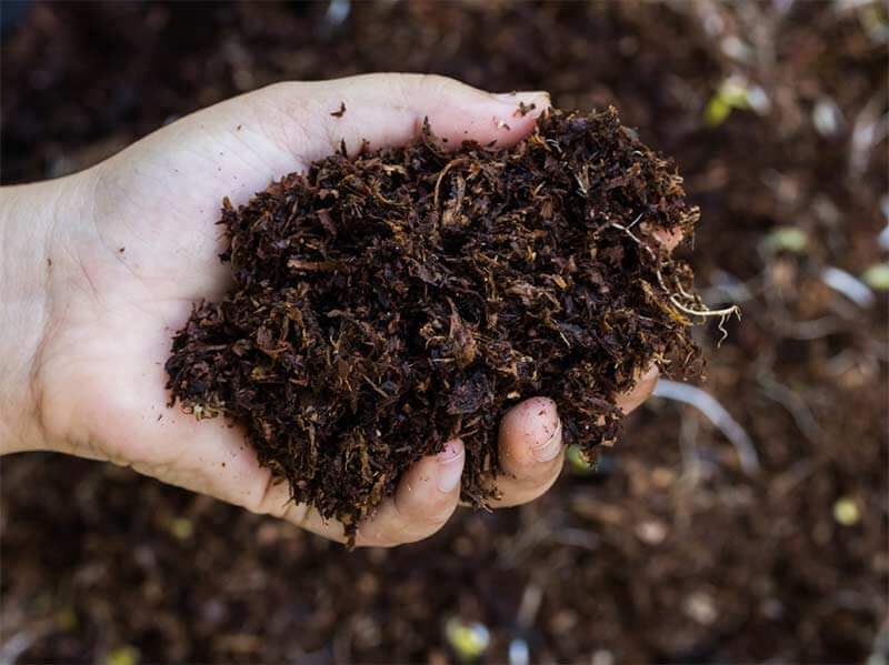 Organic Waste Recycling for Fertilizer