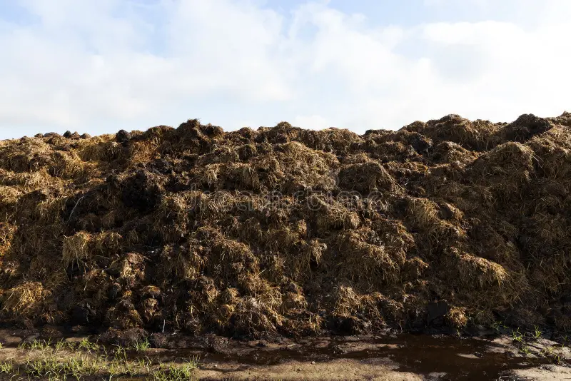 Organic fertilizer raw material cost