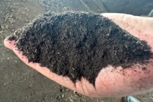 Quality Control in Organic Fertilizer Production