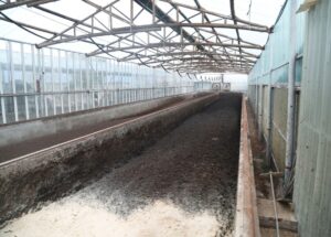 Chicken Manure Composting Technology