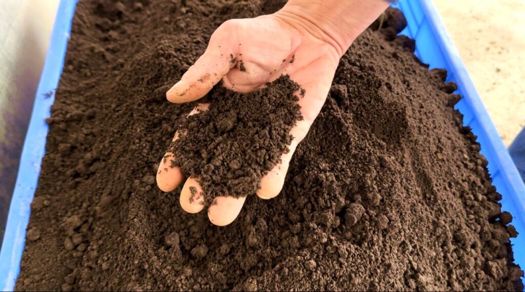 Cow Manure Organic Fertilizer