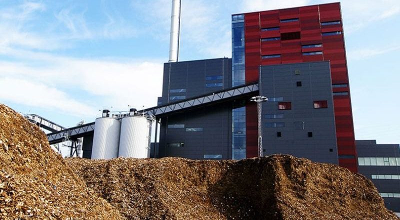 5TPH Large-Scale Plant