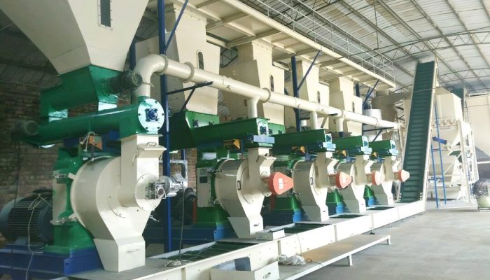 Automation and Smart Production Lines