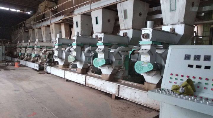 Biomass Pellet Processing Production Lines