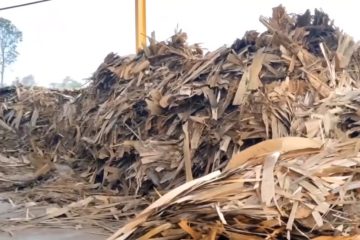 Biomass waste