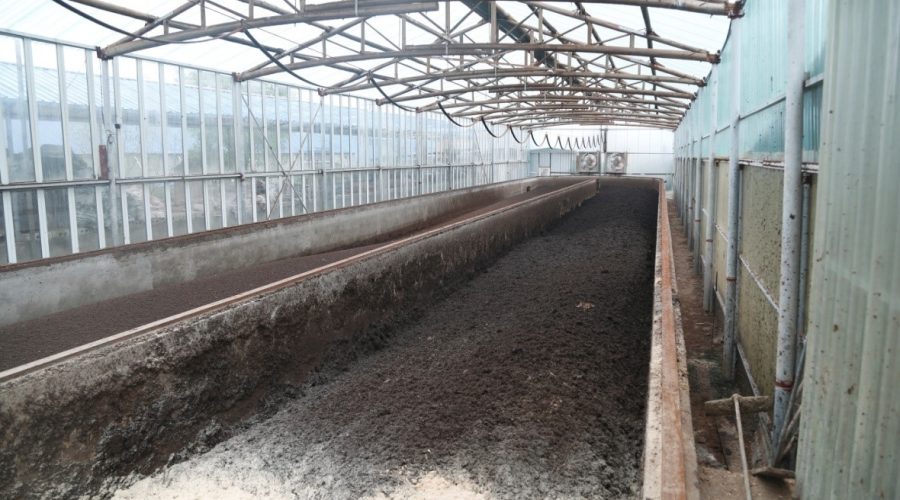 Chicken Manure Composting Technology