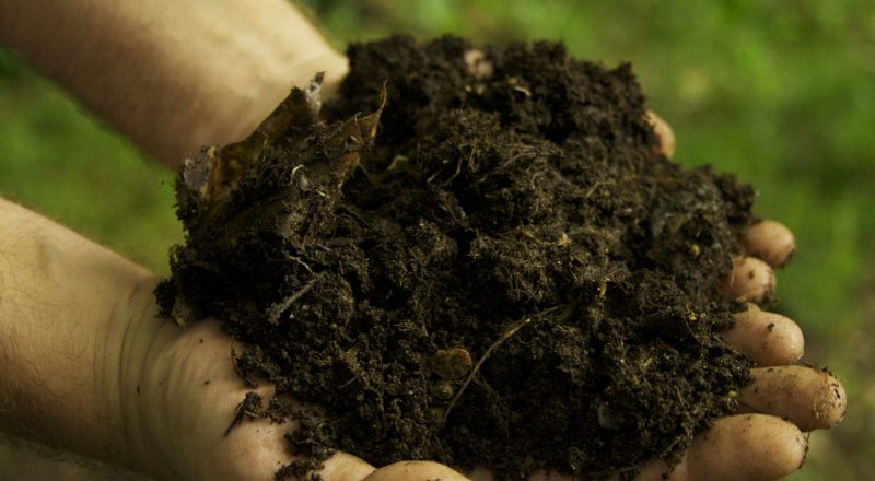 Control the Quality of Organic Fertilizer