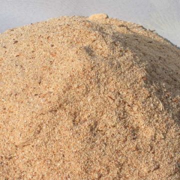 Flat Die Wood Pelletizer Best for Simple Materials