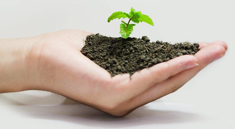 Generate Valuable Compost