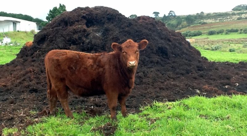 Get Raw Materials for Free