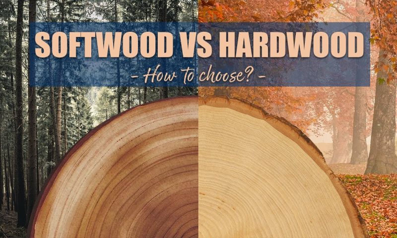 Hardwoods vs. Softwoods