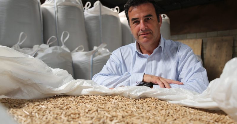 Market Demand for Wood Pellets Worldwide