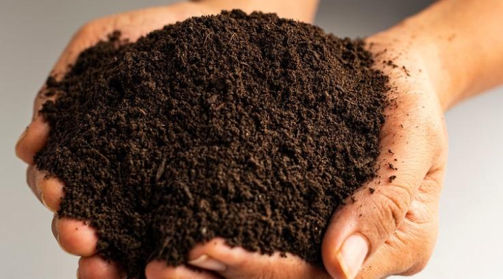 Proven Powdered Organic Fertilizer Formula