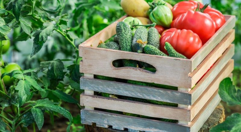 Proximity to Organic Fertilizer Target Markets