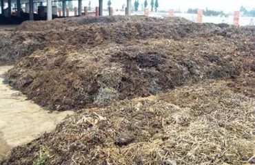 crop residue crop residue