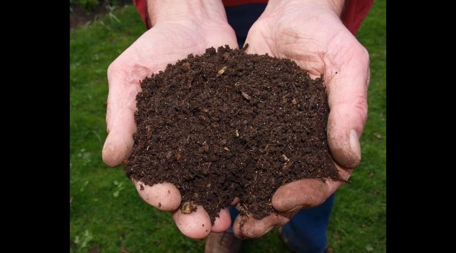 What Is Compost Curing (Aging)