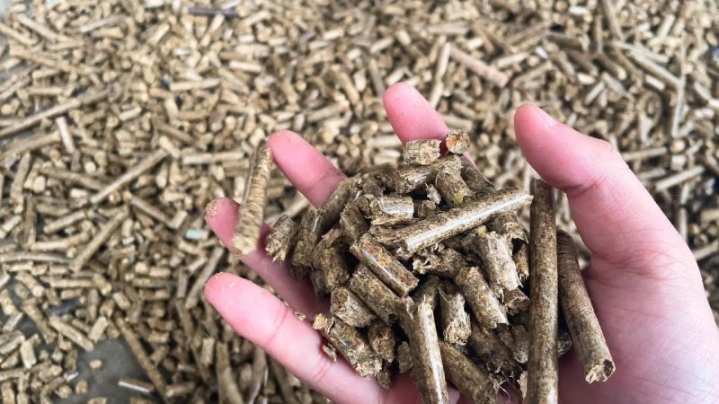 Why the Right Wood Pelletizing Machine Matters
