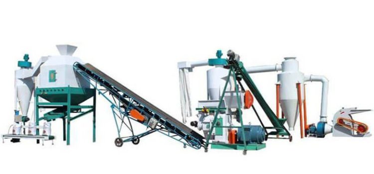 Medium-Scale: Regional Supplier