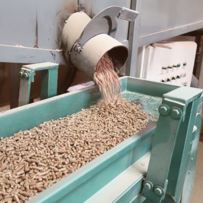 pellet (1)