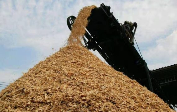 wood chip production line